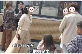 浮梁婚姻调查